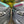 Terrawagen Aero Hood Spoiler Sprinter 907