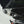 Moonraker Sprinter Van Hood Strut Brackets